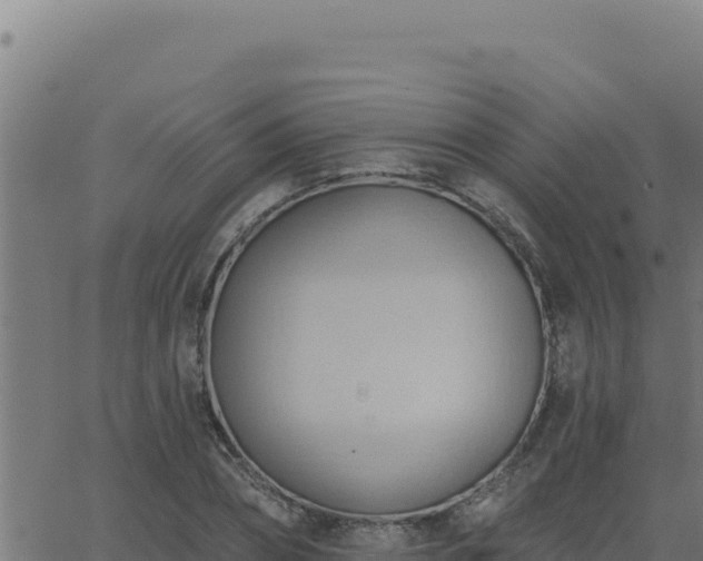 X0000062890882200601171511