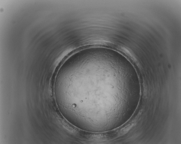 X0000062890883200601171511