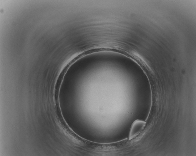 X0000062890884200601171511