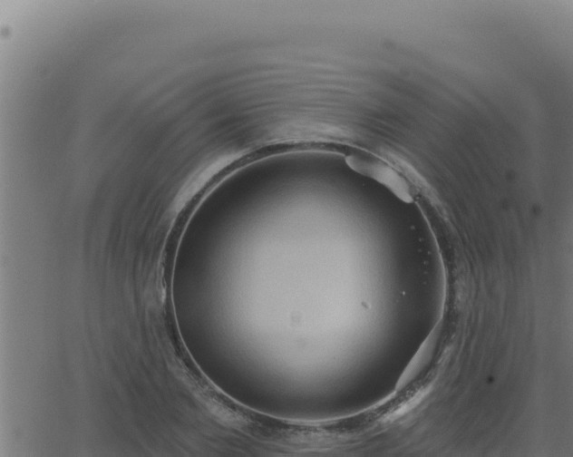 X0000062890885200601171511