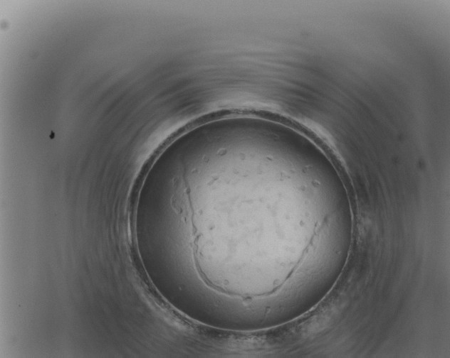 X0000062890887200601171511