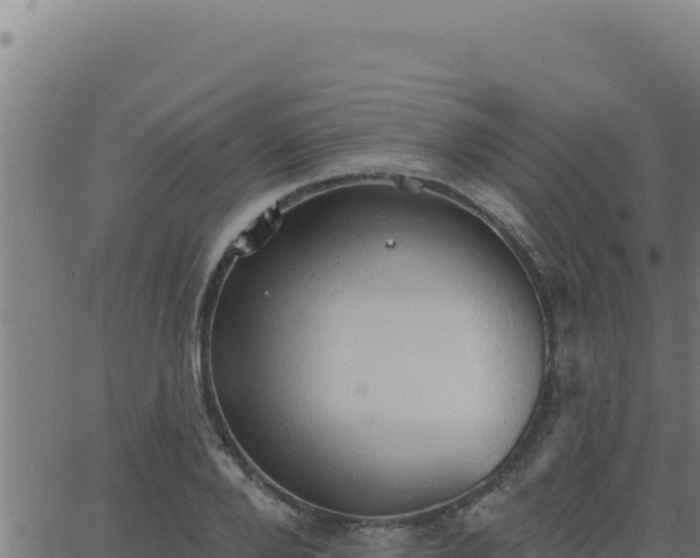 X0000062890888200601171511