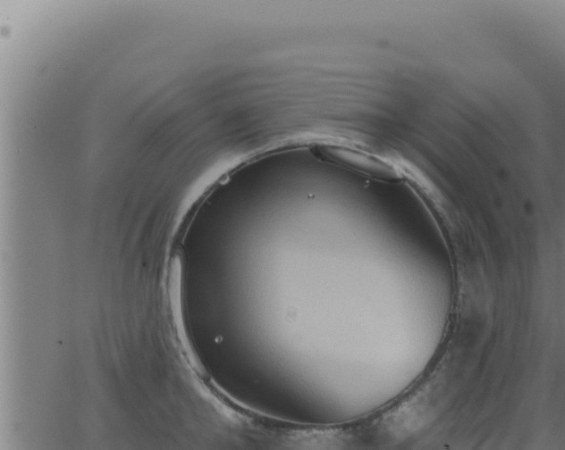 X0000062890902200601171510