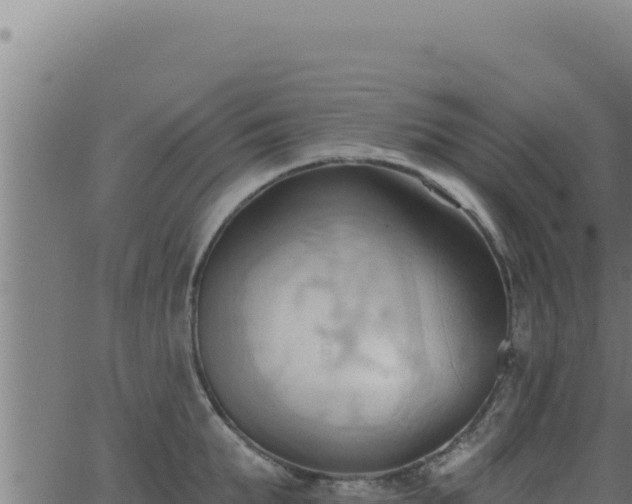 X0000062890903200601171510