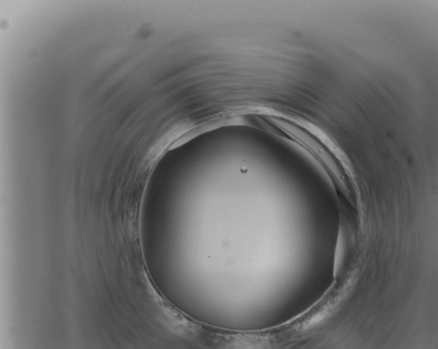 X0000062890905200601171510