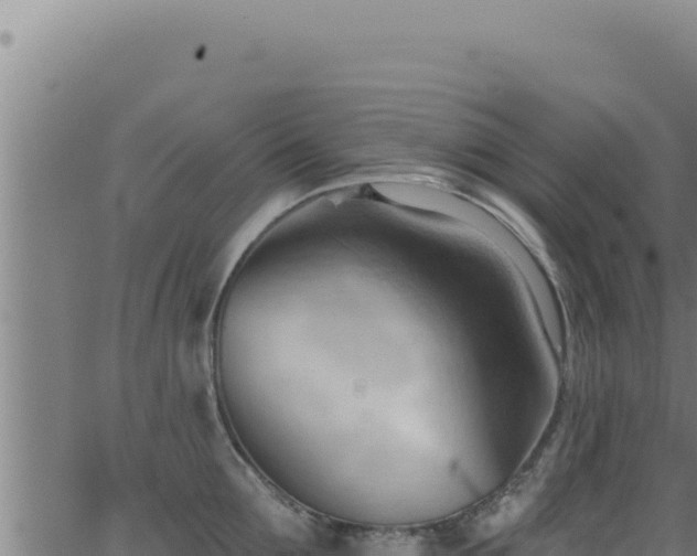 X0000062890907200601171510