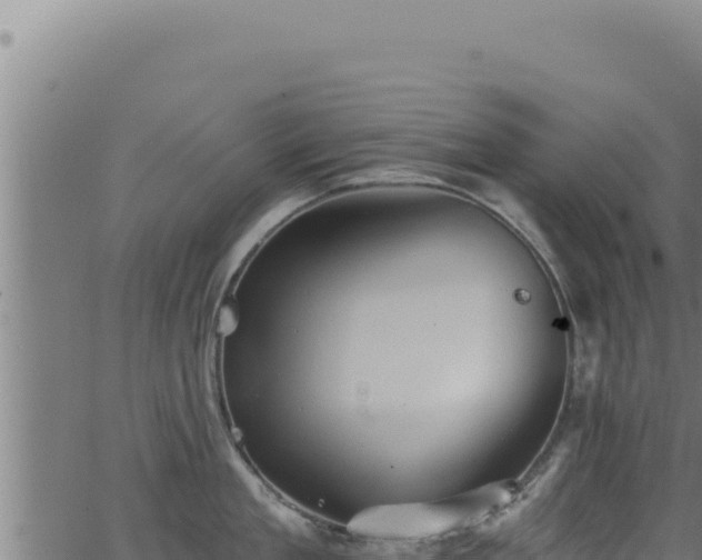 X0000062890909200601171510