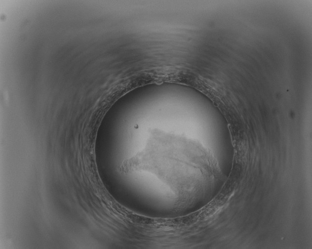 X0000062890913200601171509