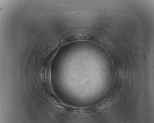 X0000062890914200601171509