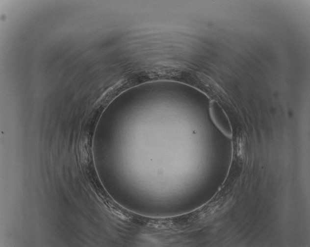 X0000062890915200601171509