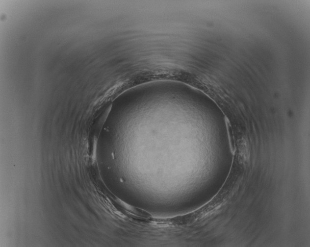 X0000062890916200601171509