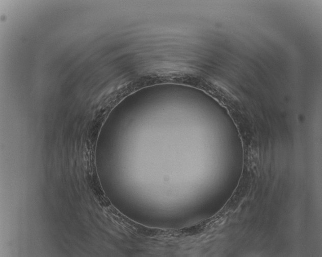 X0000062890917200601171509