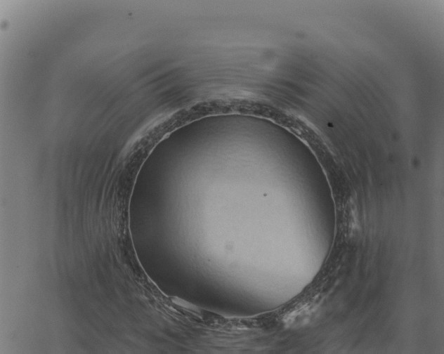 X0000062890919200601171509