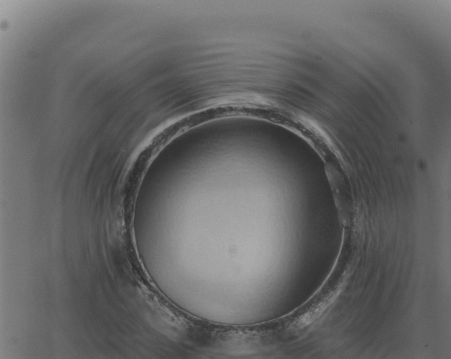 X0000062890923200601171509