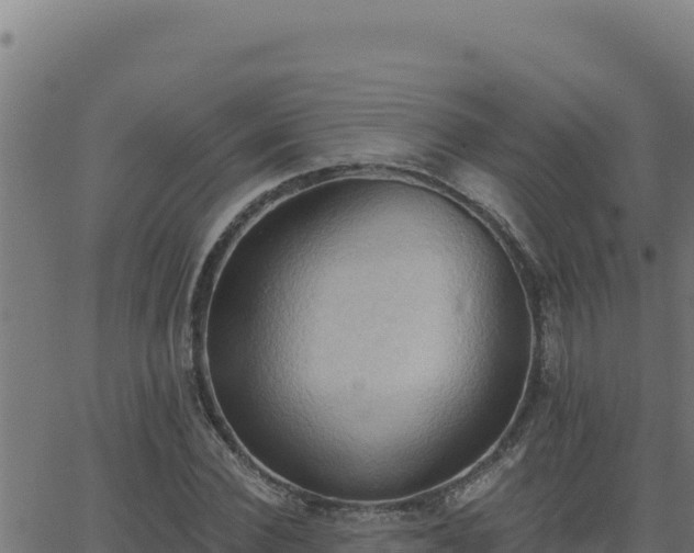 X0000062890924200601171509