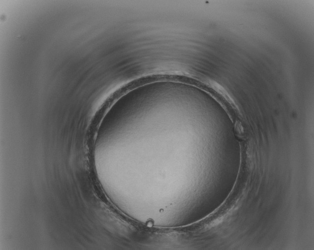 X0000062890926200601171509