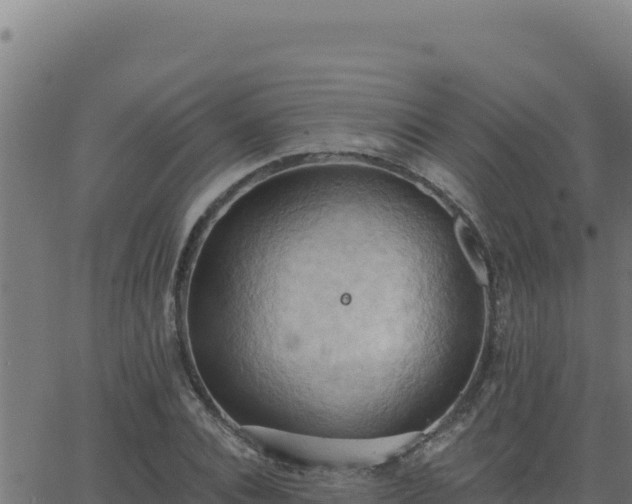 X0000062890928200601171509