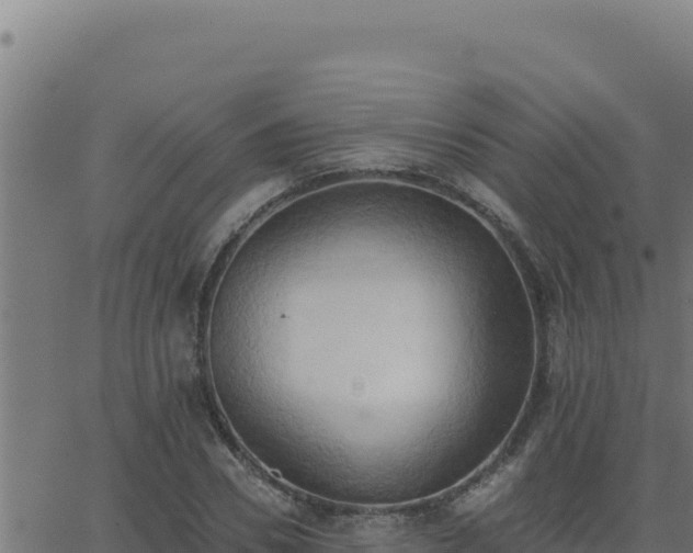 X0000062890930200601171510