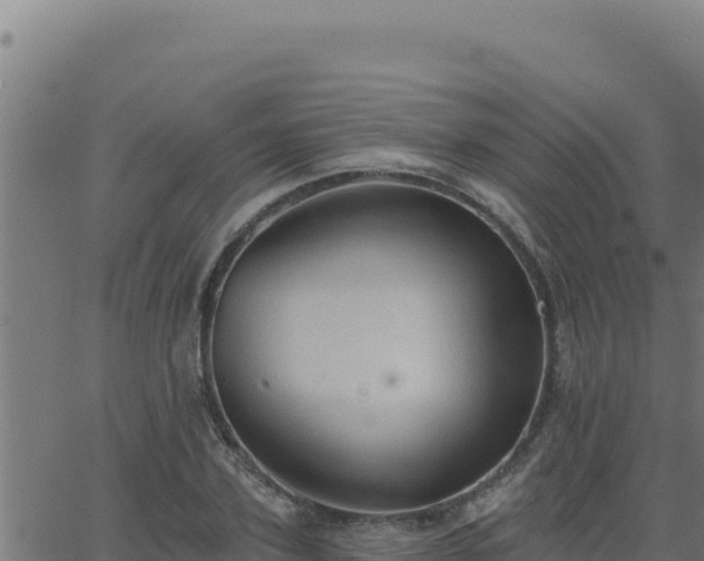 X0000062890931200601171510