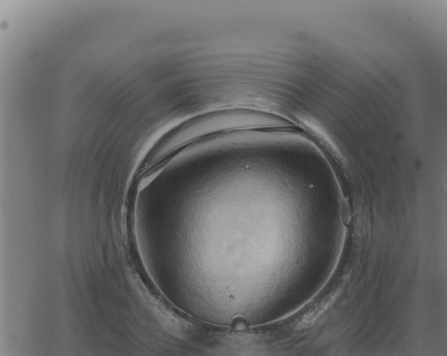 X0000062890932200601171510