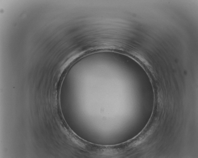 X0000062890933200601171510