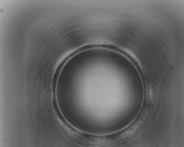 X0000062890935200601171510