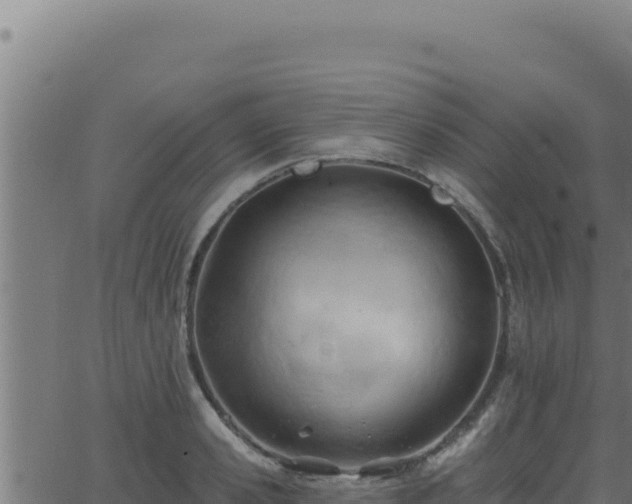 X0000062890941200601171510