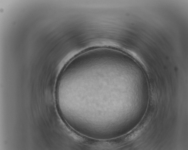 X0000062890943200601171510