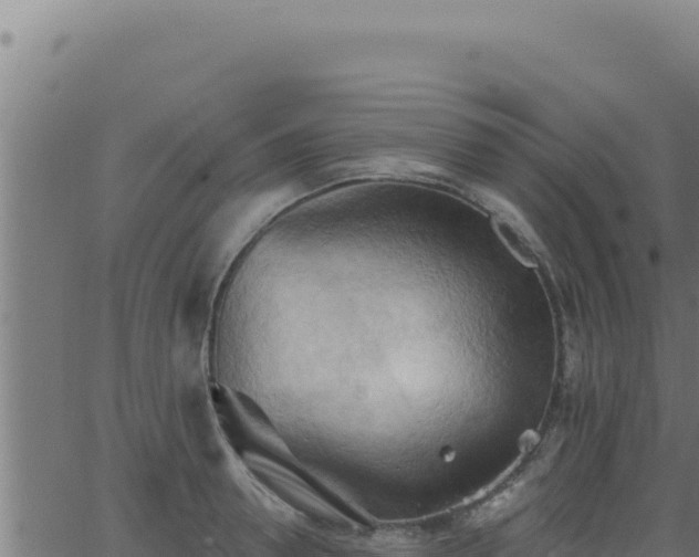 X0000062890946200601171510