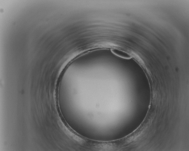 X0000062890947200601171510