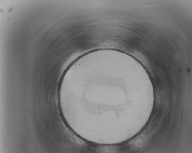 X0000062890950200601171510