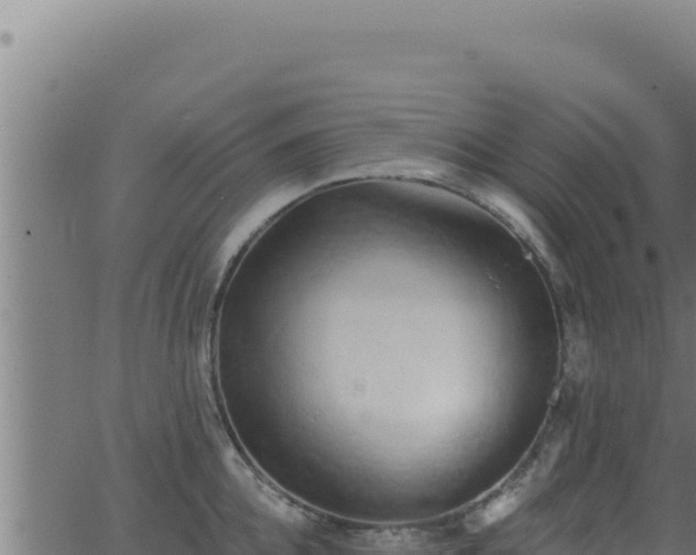 X0000062890952200601171510