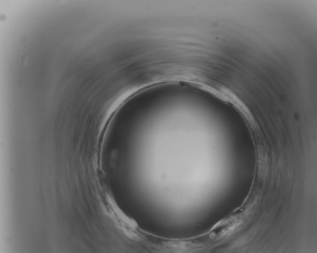 X0000062890956200601171510