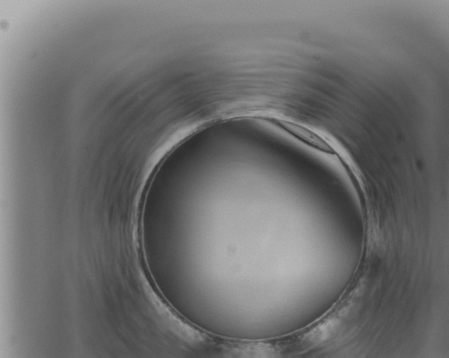 X0000062890957200601171510