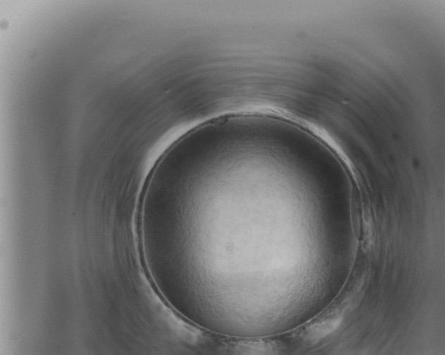 X0000062890959200601171510