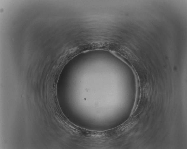 X0000062890961200601171509