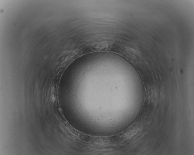 X0000062890962200601171509