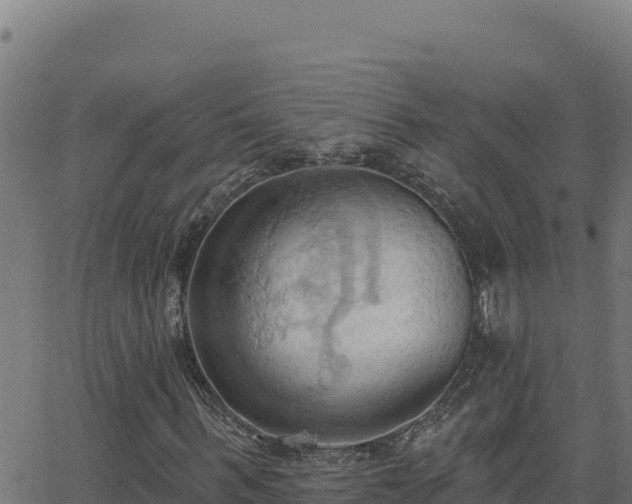 X0000062890963200601171509