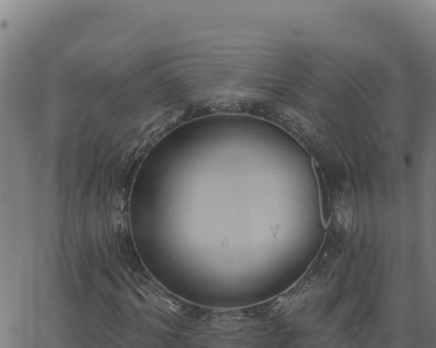 X0000062890964200601171509