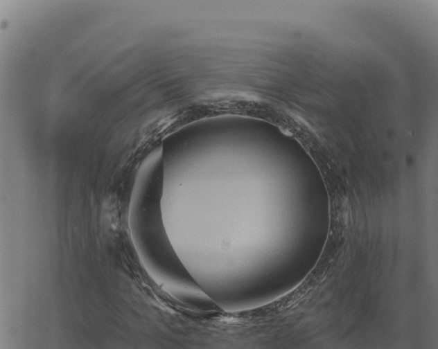 X0000062890965200601171509