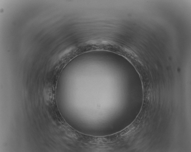 X0000062890966200601171509