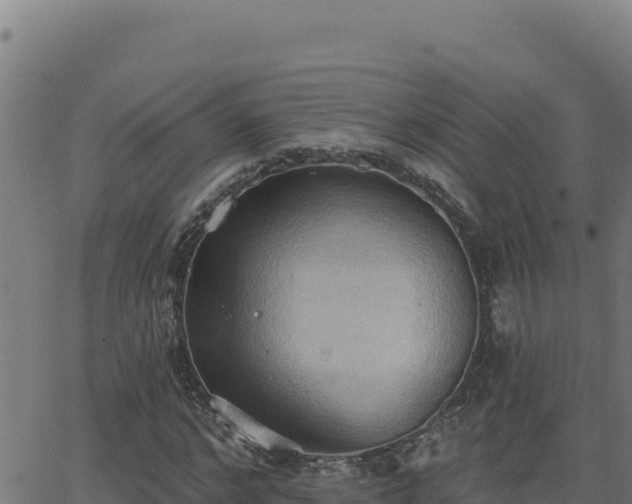 X0000062890968200601171509