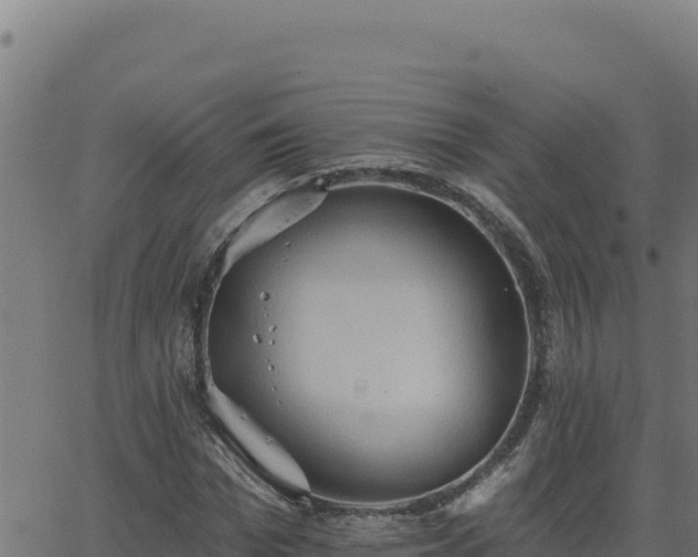 X0000062890969200601171509