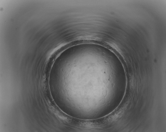 X0000062890971200601171509