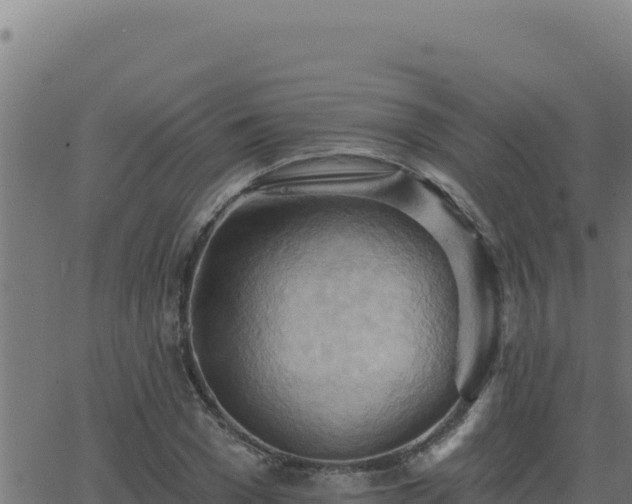 X0000062890977200601171509