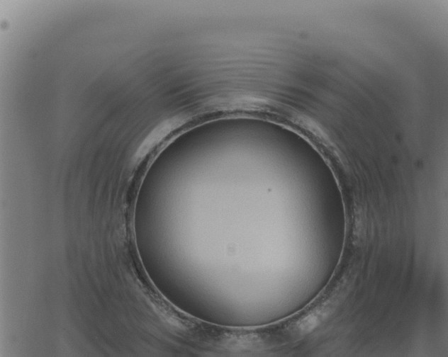 X0000062890978200601171509