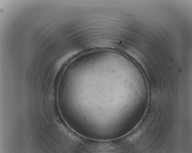 X0000062890979200601171509