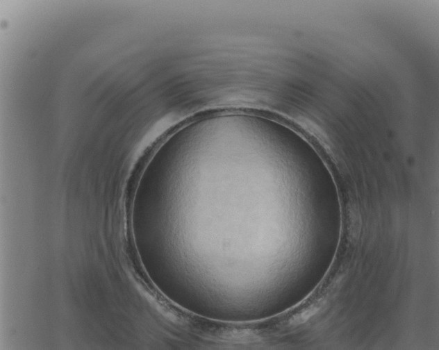 X0000062890982200601171509