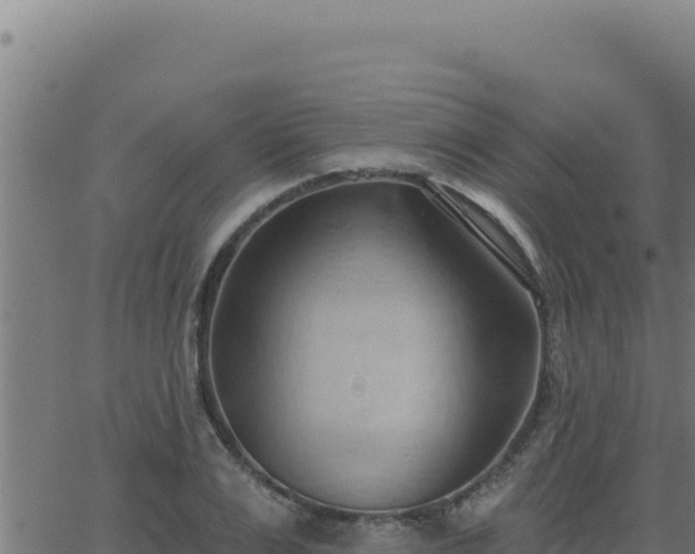 X0000062890983200601171509