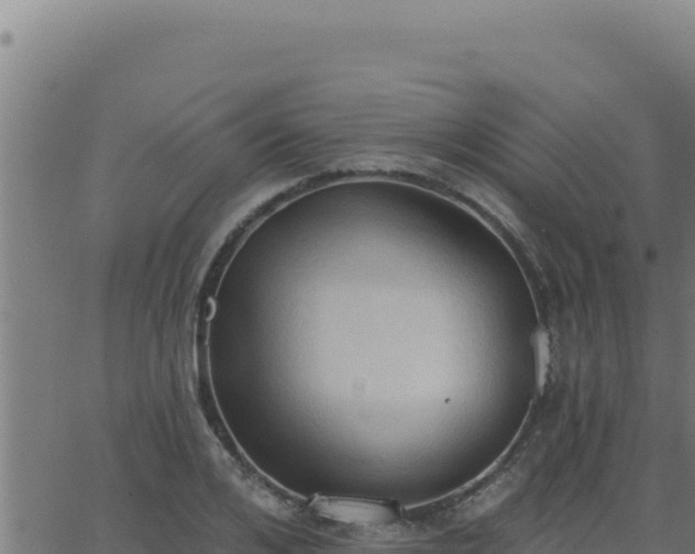 X0000062890984200601171509